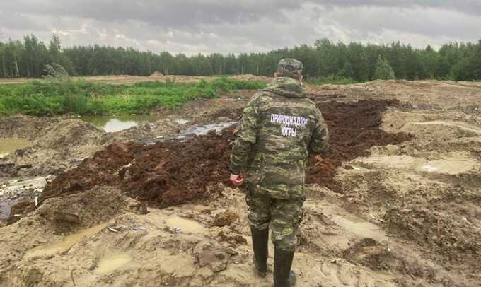 Лесфонд ХМАО превратили в отстойник отходов с КОС Сургута. Экологи сообщили о коррупции в Природнадзоре