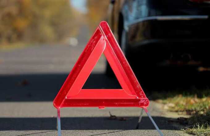 Водитель Honda в Бурятии совершил наезд на лошадь: двое получили травмы